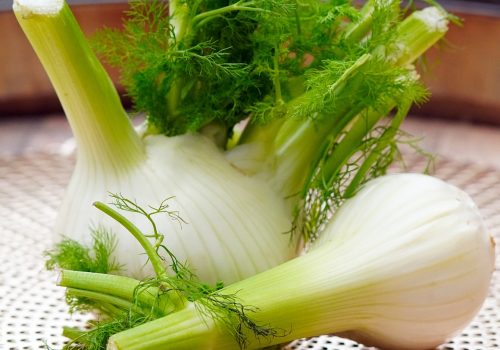 Le fenouil